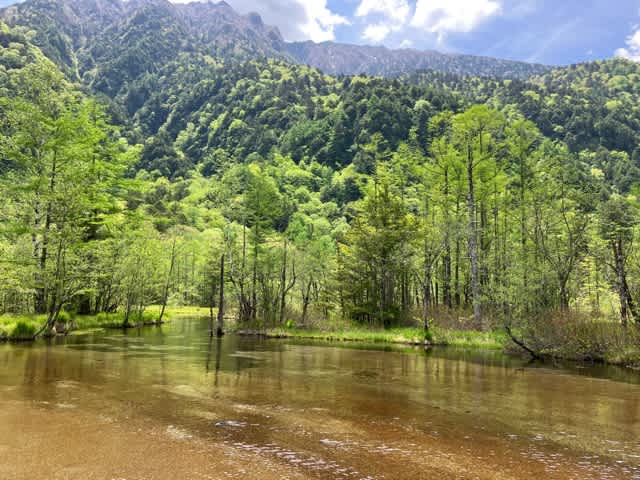 田代池からかっぱ橋と岳沢湿原 - 前へと