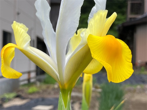 f:id:sscysm0218:20260429105206j:image