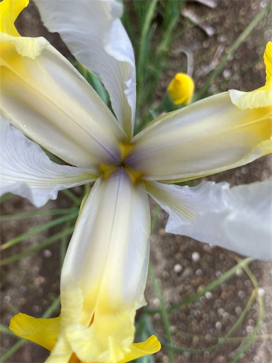 f:id:sscysm0218:20260429105210j:image