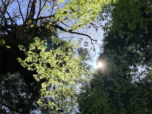 f:id:sscysm0218:20260510171318j:image