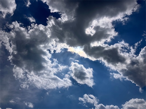 f:id:sscysm0218:20260613154608j:image
