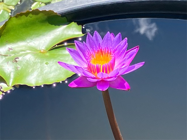f:id:sscysm0218:20260917155430j:image f:id:sscysm0218:20260917155430j:image