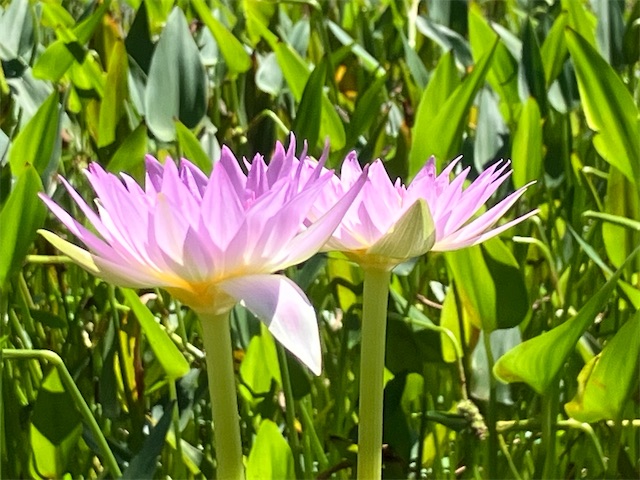 f:id:sscysm0218:20260917155605j:image f:id:sscysm0218:20260917155605j:image