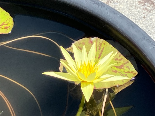 f:id:sscysm0218:20260917155635j:image f:id:sscysm0218:20260917155635j:image