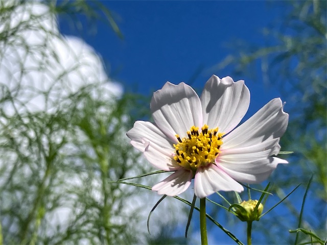 f:id:sscysm0218:20260917160942j:image f:id:sscysm0218:20260917160942j:image
