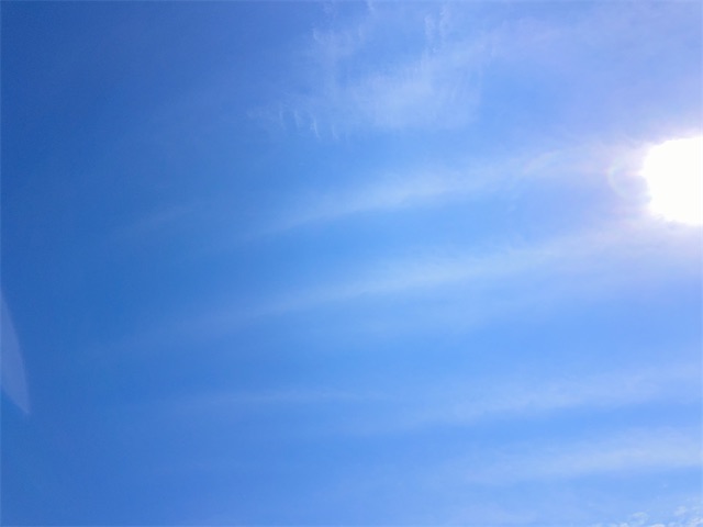 f:id:sscysm0218:20260918150214j:image f:id:sscysm0218:20260918150214j:image