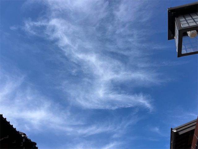 f:id:sscysm0218:20260918152801j:image f:id:sscysm0218:20260918152801j:image