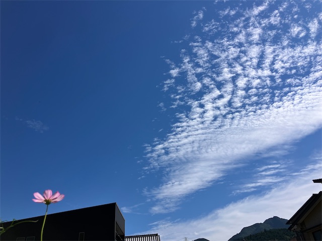 f:id:sscysm0218:20260919160646j:image