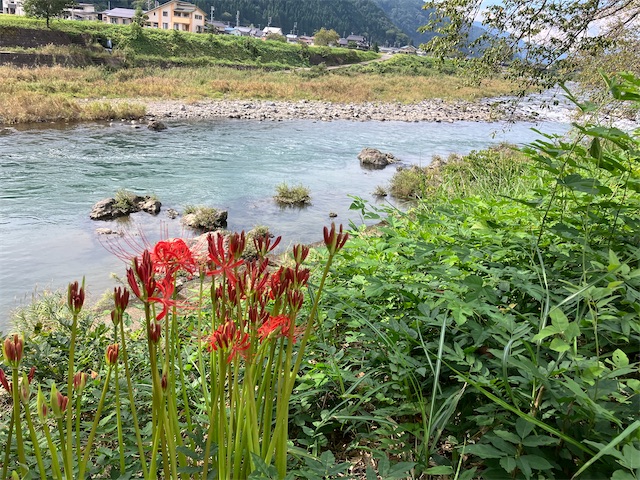 f:id:sscysm0218:20260919161518j:image f:id:sscysm0218:20260919161518j:image