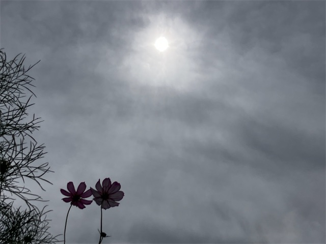 f:id:sscysm0218:20260920112248j:image f:id:sscysm0218:20260920112248j:image