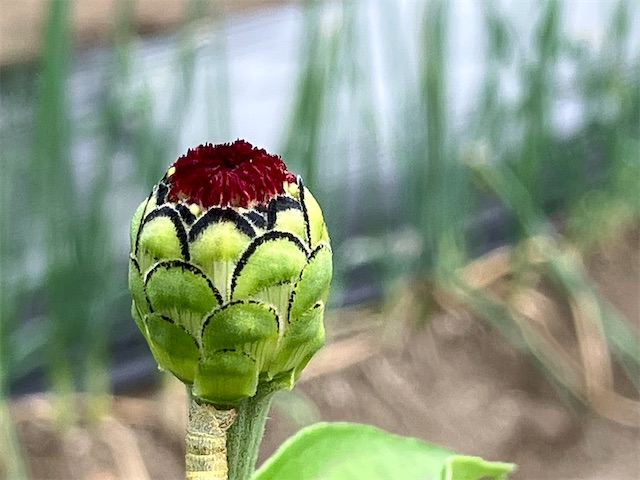 f:id:sscysm0218:20260920112251j:image f:id:sscysm0218:20260920112251j:image
