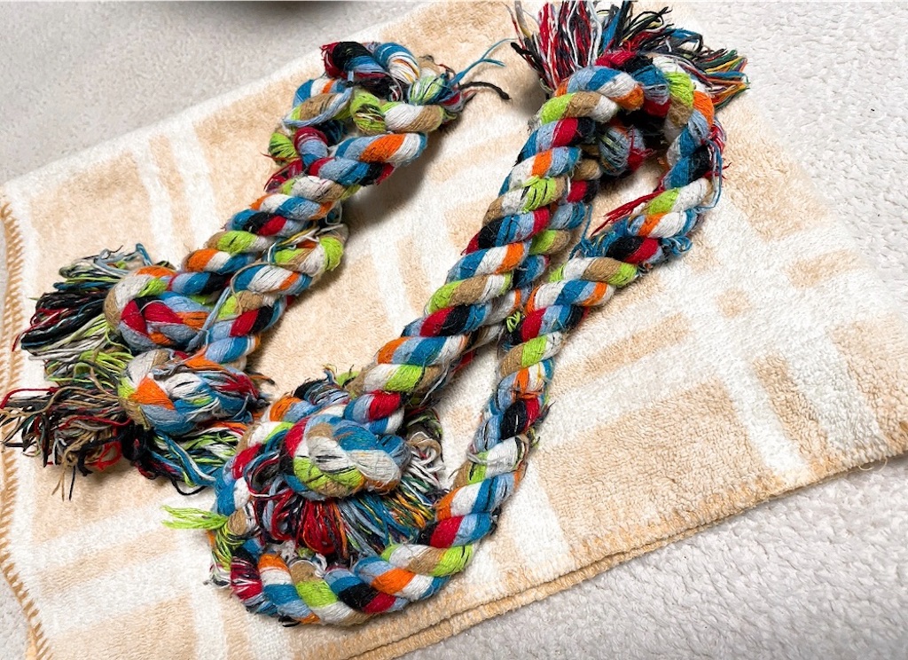 f:id:ssg339129:20210201171912j:image f:id:ssg339129:20210201171912j:image