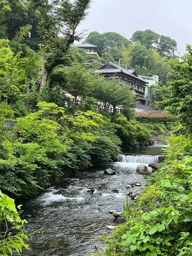 f:id:sshhw41:20220617160732j:image
