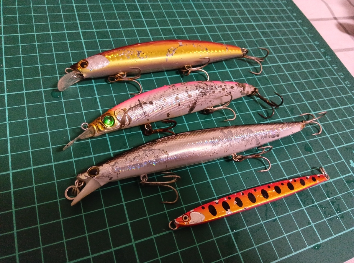 サクラマス釣行①（2026初釣り） - 気ままに道南釣行記