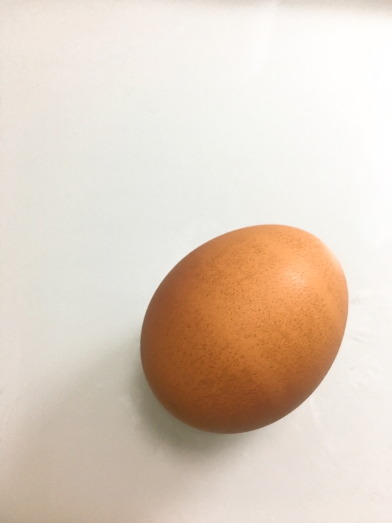 f:id:sshiroko:20190126181244j:plain