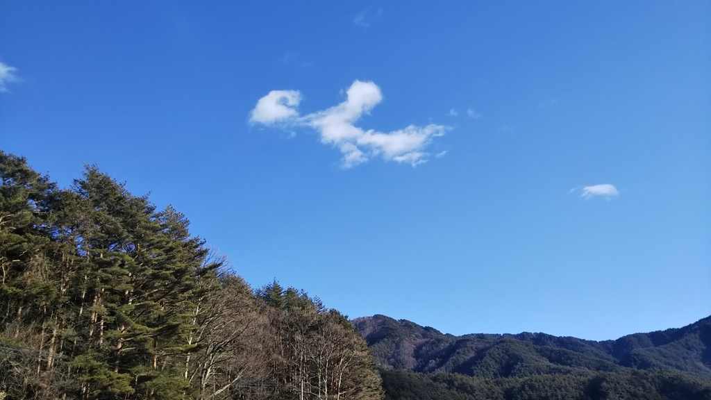 f:id:sshiu:20190108154126j:plain