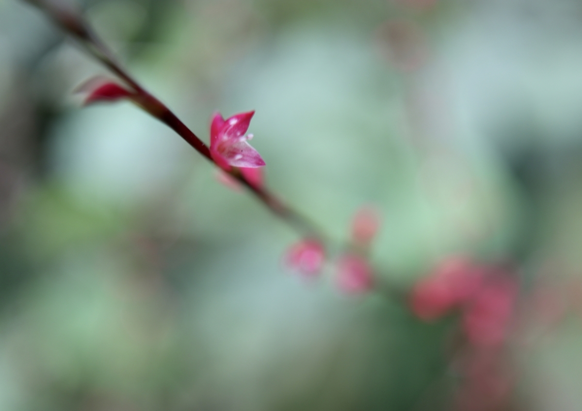 f:id:ssinon:20200923132320j:plain