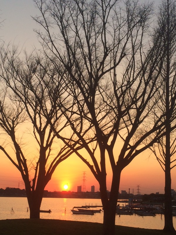 f:id:ssk2:20160303172656j:image