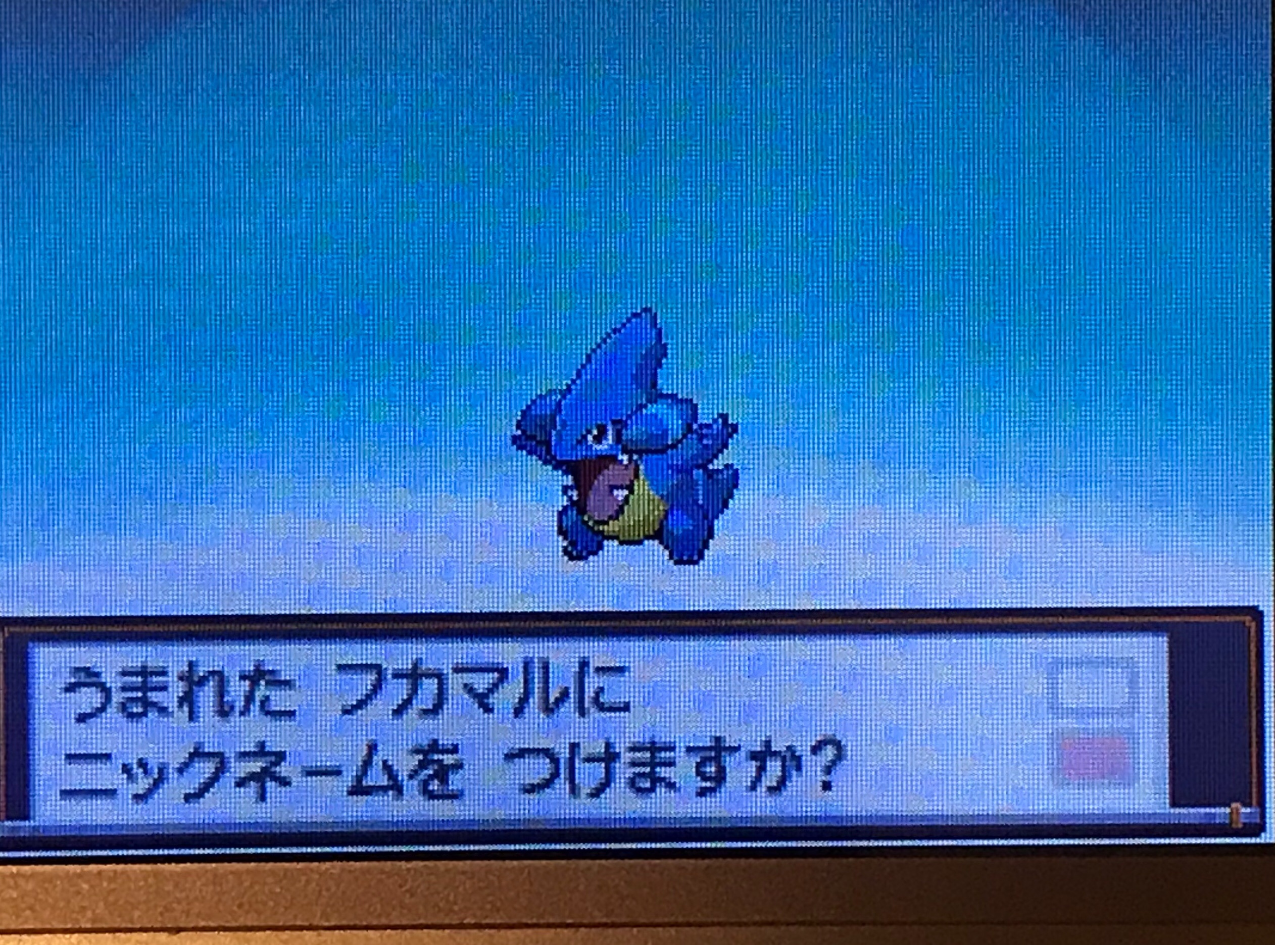 カンスト勢のポケモン録