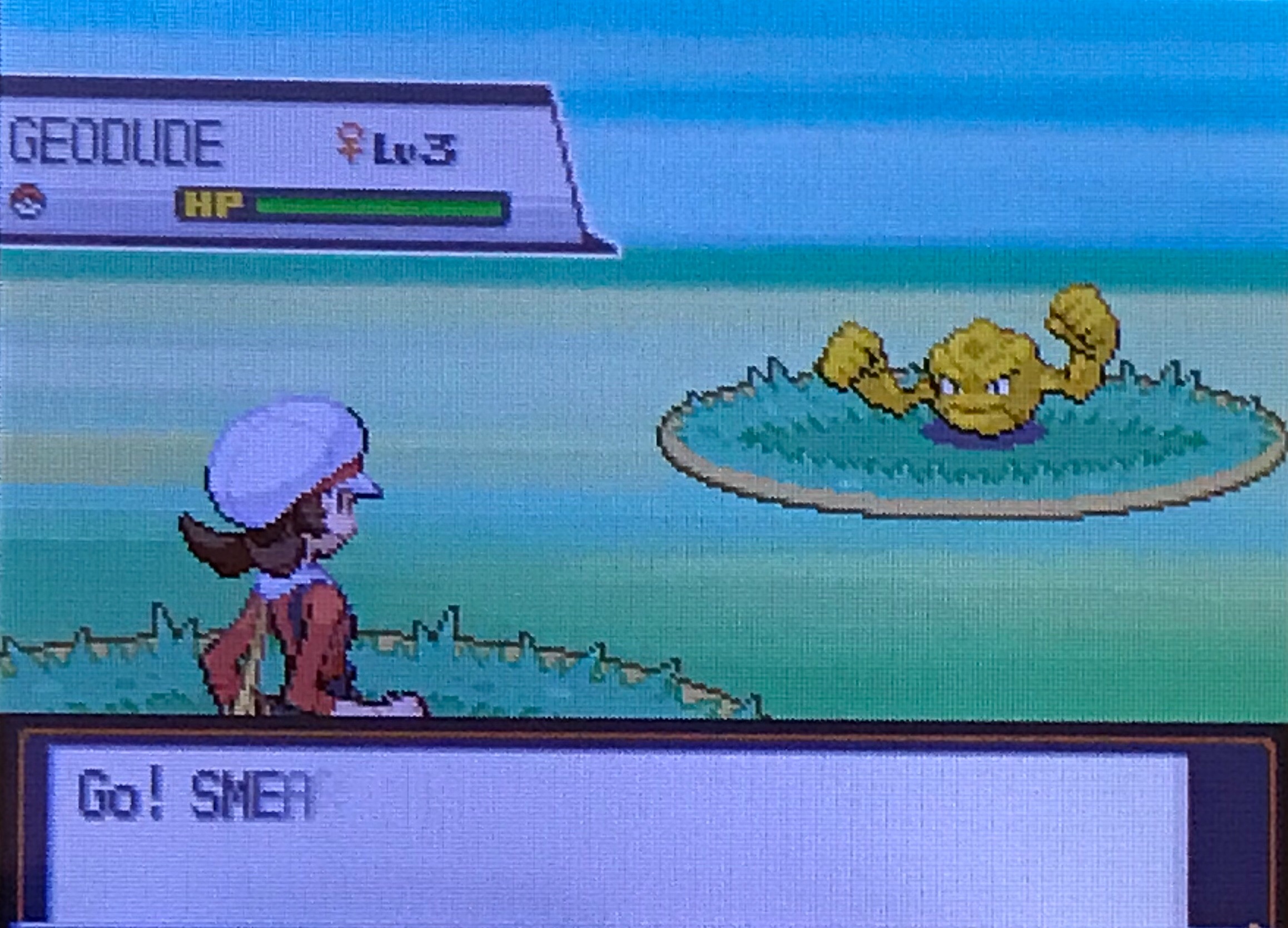 カンスト勢のポケモン録