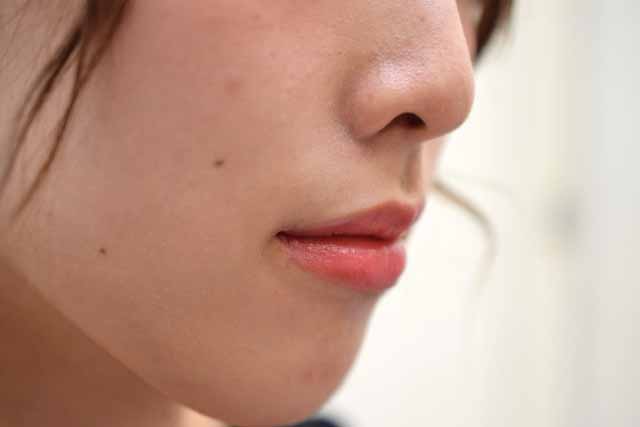 f:id:ssks63:20190106005916j:plain f:id:ssks63:20190106005916j:plain