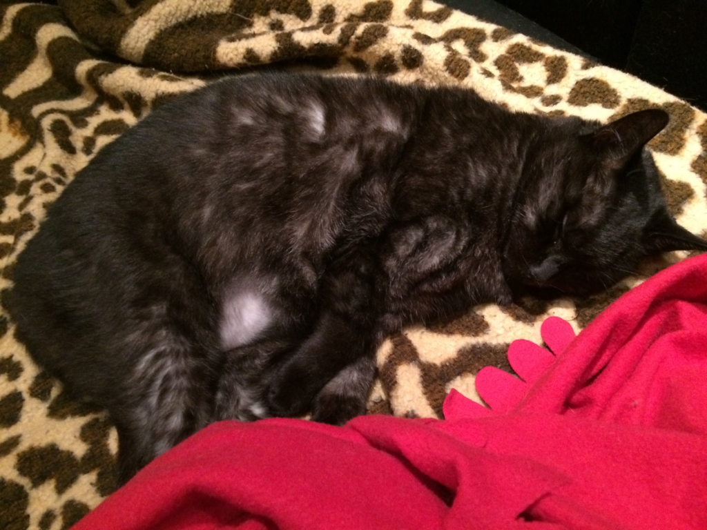 f:id:ssmeyuki:20160804230038j:plain f:id:ssmeyuki:20160804230038j:plain