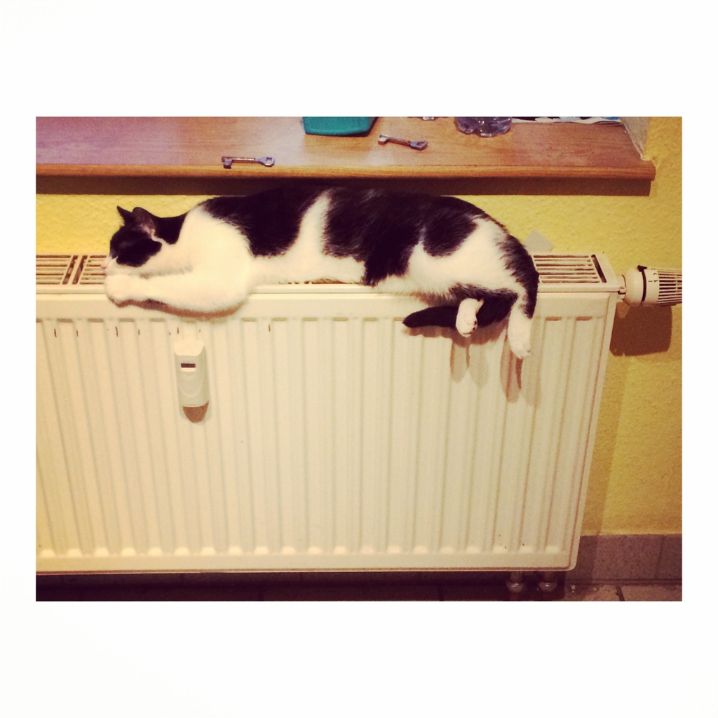 f:id:ssmeyuki:20160804230049j:plain f:id:ssmeyuki:20160804230049j:plain