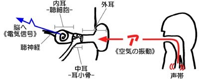 f:id:ssn29:20060411141910j:image f:id:ssn29:20060411141910j:image