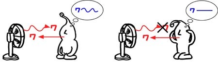 f:id:ssn29:20060411141930j:image f:id:ssn29:20060411141930j:image