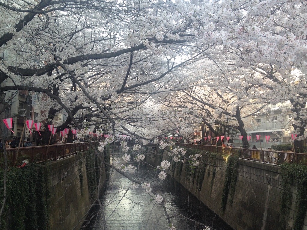 f:id:sspirit1011:20200226201134j:image