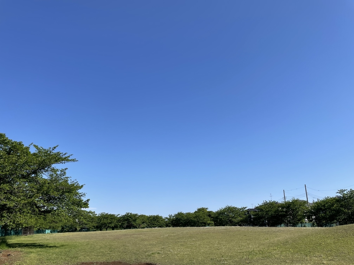 f:id:ssrindou:20210503093931j:plain
