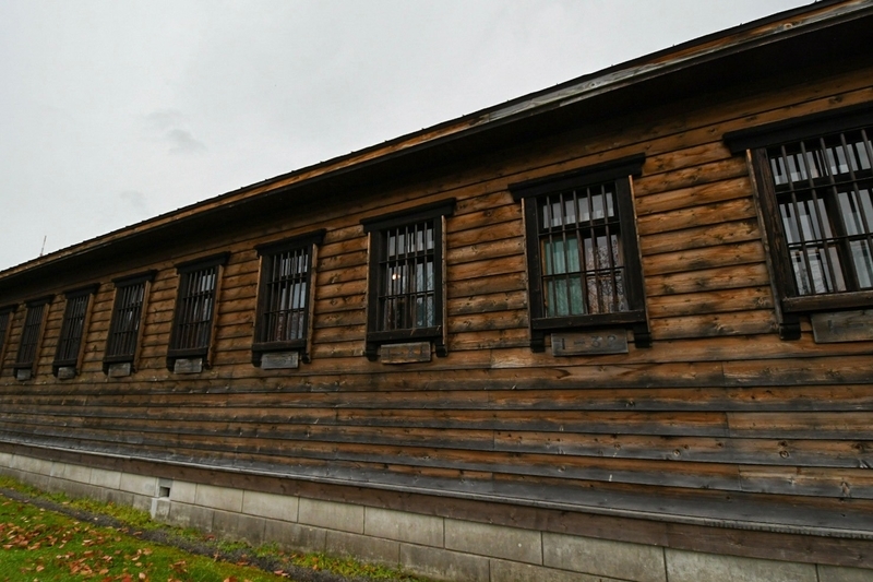 f:id:ssrm_msmr:20201123024326j:plain