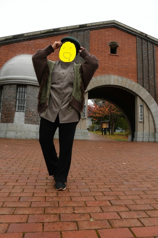 f:id:ssrm_msmr:20201123032740j:plain