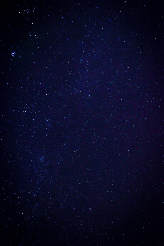 f:id:ssrm_msmr:20201208003021j:plain