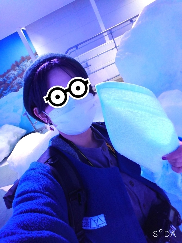f:id:ssrm_msmr:20201208003216j:plain