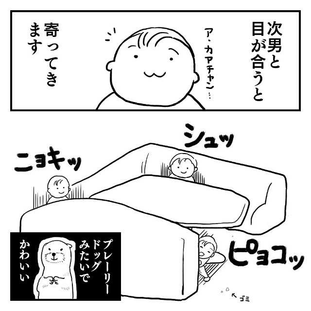 f:id:sssadayaaa:20170902015005j:image f:id:sssadayaaa:20170902015005j:image