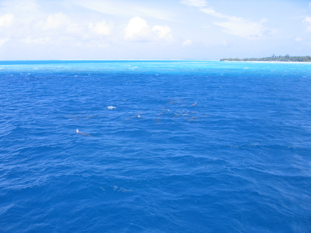 f:id:ssshoutenn:20101005172957j:plain