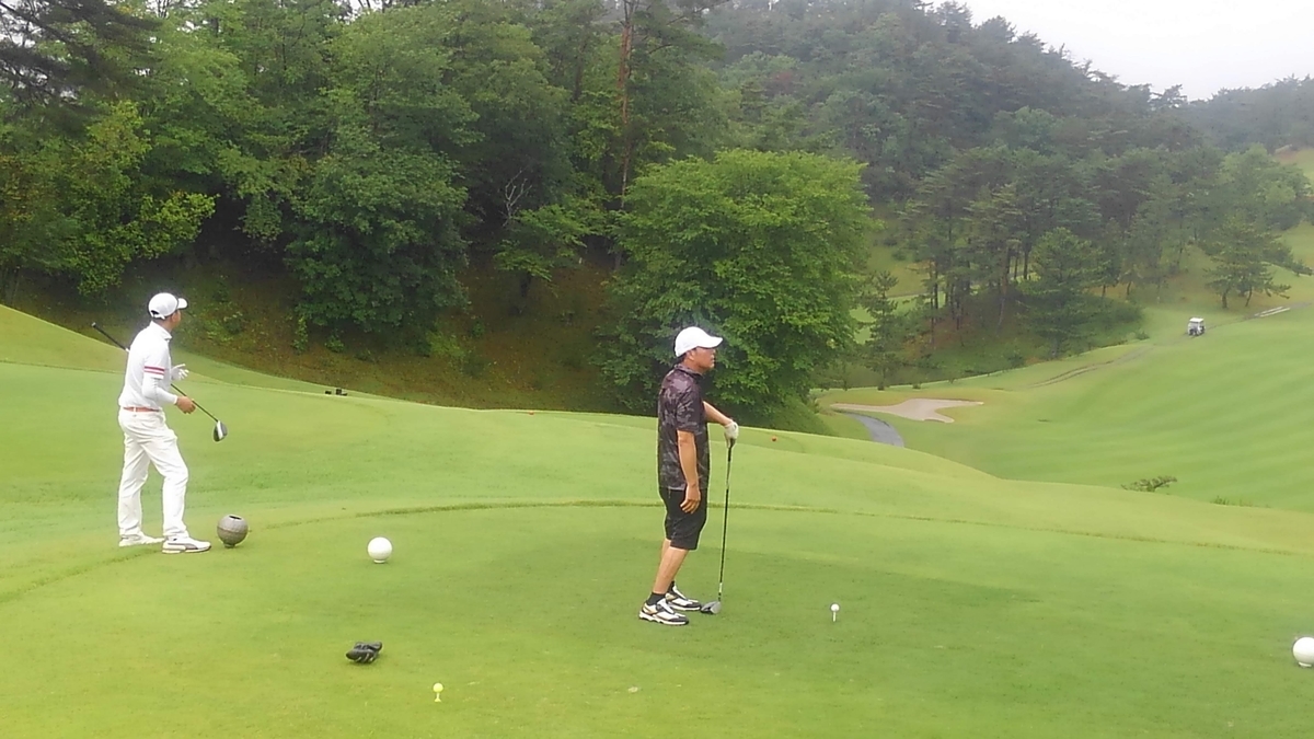 f:id:ssshoutenn:20190628100958j:plain