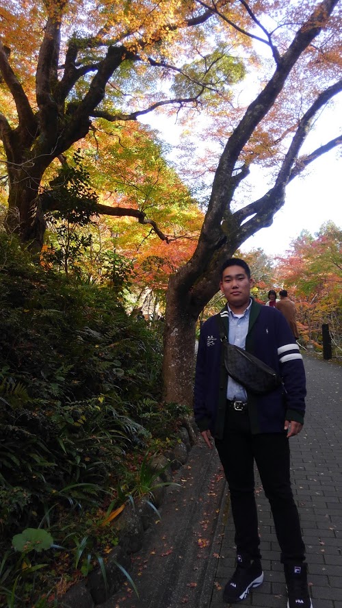 f:id:ssshoutenn:20191203094247j:plain f:id:ssshoutenn:20191203094247j:plain