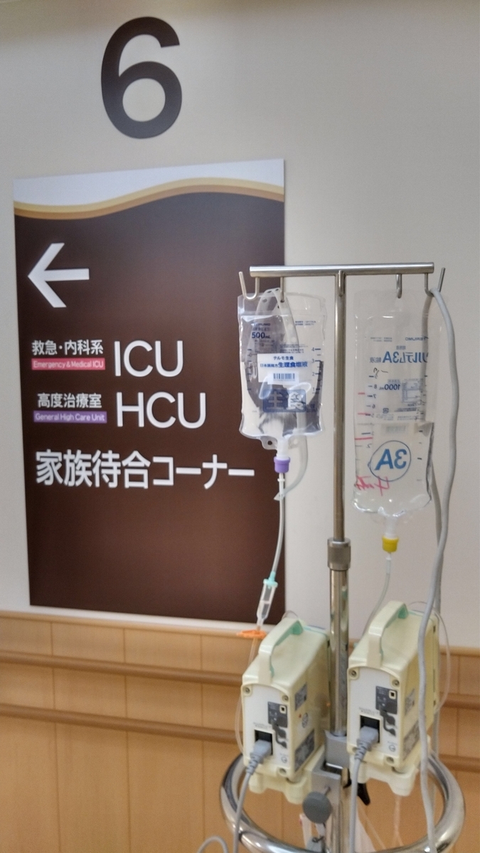 f:id:ssshoutenn:20200208045000j:plain