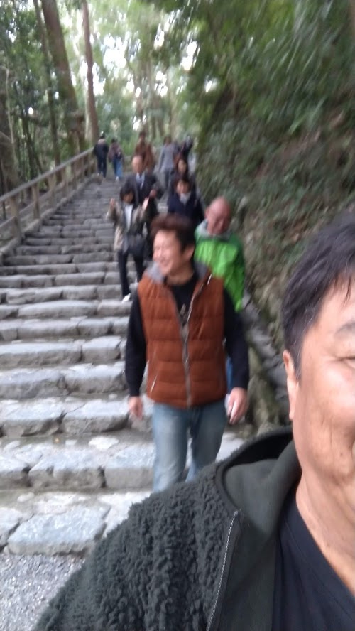 f:id:ssshoutenn:20200316073055j:plain f:id:ssshoutenn:20200316073055j:plain