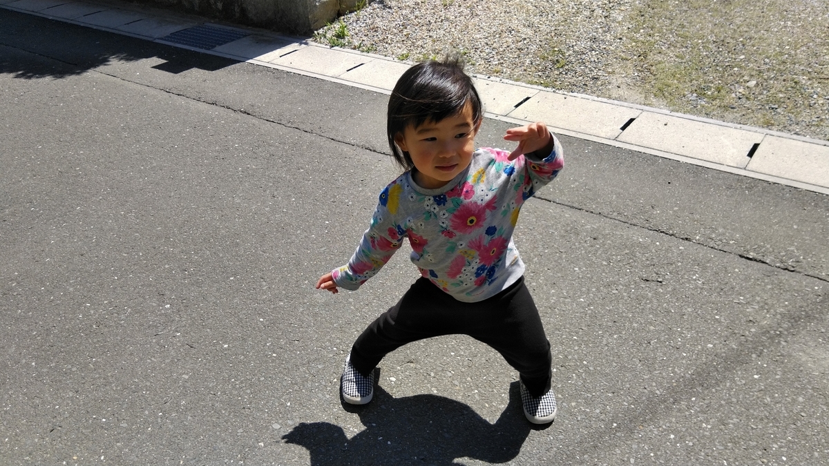 f:id:ssshoutenn:20200422131930j:plain f:id:ssshoutenn:20200422131930j:plain