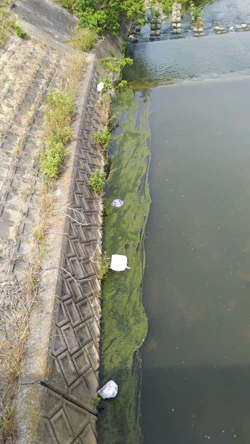 f:id:ssshoutenn:20200604083259j:plain f:id:ssshoutenn:20200604083259j:plain