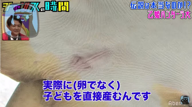 f:id:ssshoutenn:20200625075517j:plain