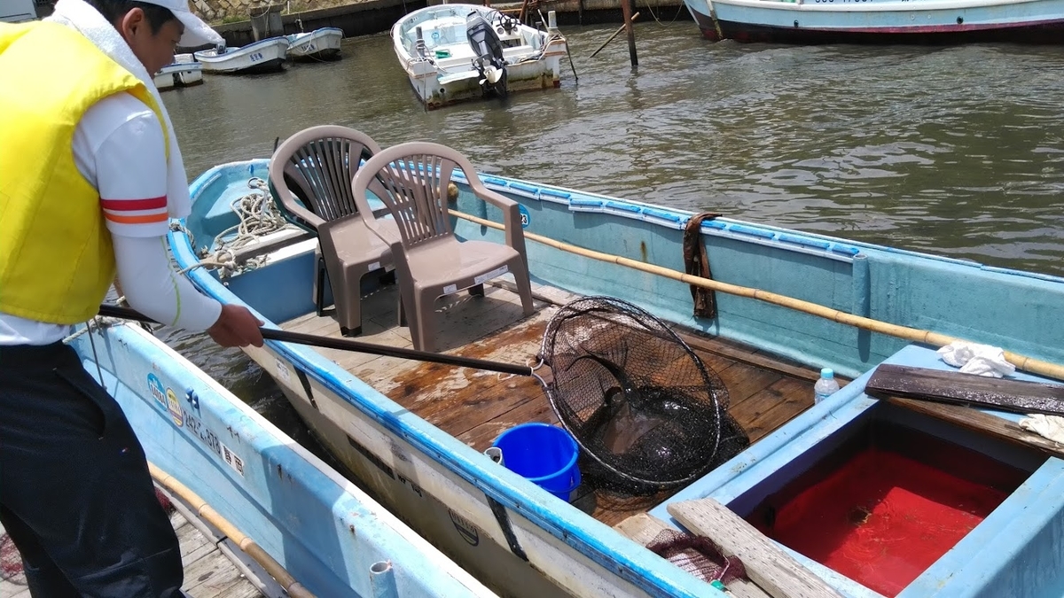 f:id:ssshoutenn:20200625080223j:plain