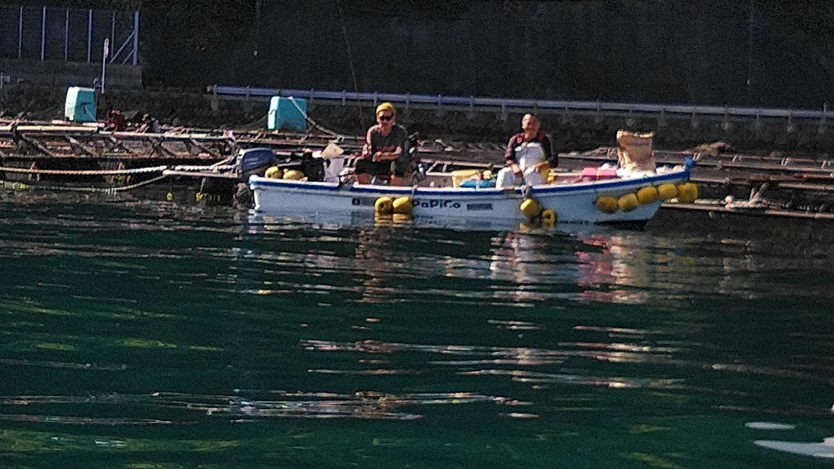 f:id:ssshoutenn:20201026075518j:plain f:id:ssshoutenn:20201026075518j:plain