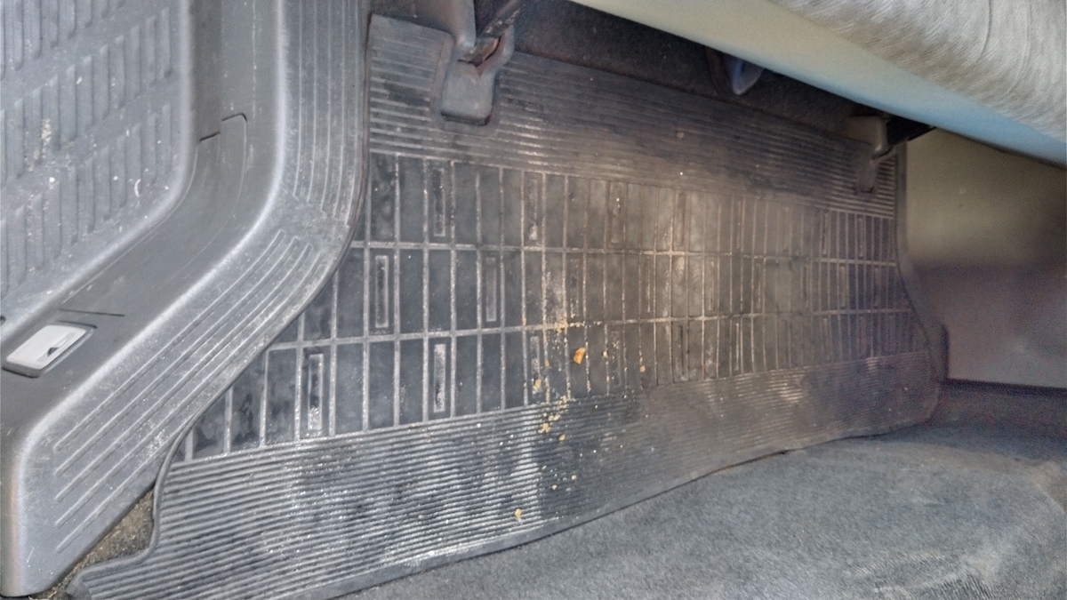 f:id:ssshoutenn:20201129085151j:plain