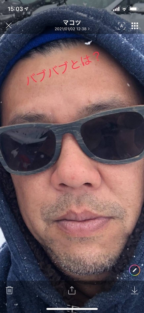 f:id:ssshoutenn:20210103080748j:plain