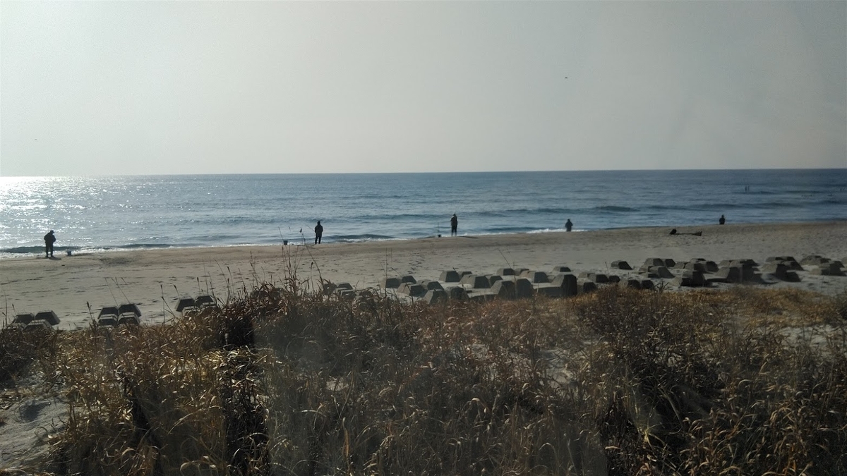 f:id:ssshoutenn:20210115082752j:plain