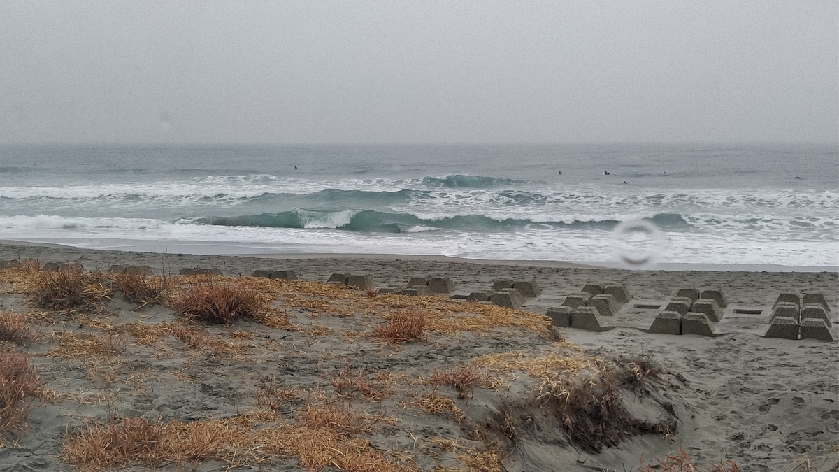 f:id:ssshoutenn:20210123123535j:plain